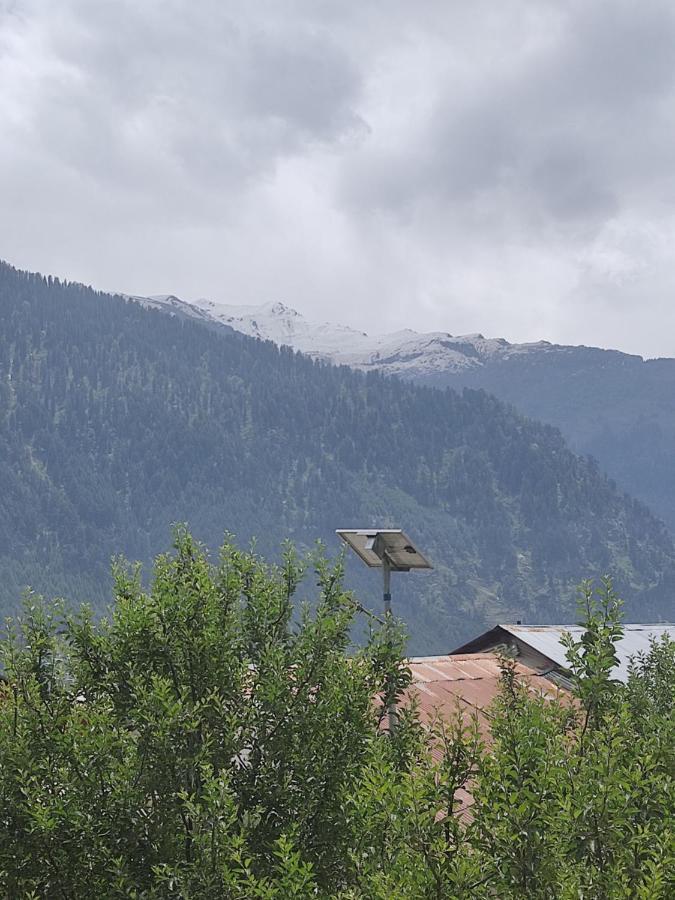 Woods Inn Mountain View Manali Екстер'єр фото